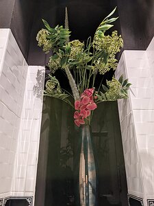 20220629_PXL105933639.MP_Pixel3a-JEB